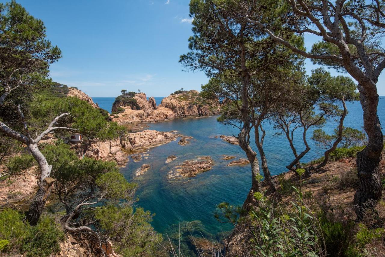Casa Cala Nostra - Tamariu Lejlighed Palafrugell Eksteriør billede